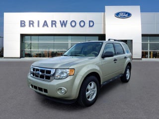 2010 Ford Escape XLT