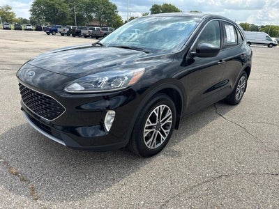 2022 Ford Escape Hybrid SEL