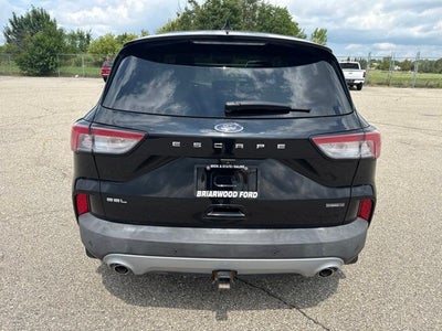 2022 Ford Escape Hybrid SEL
